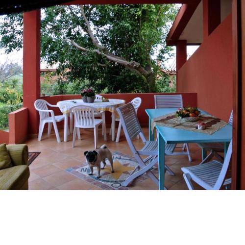 Oasi del Relax