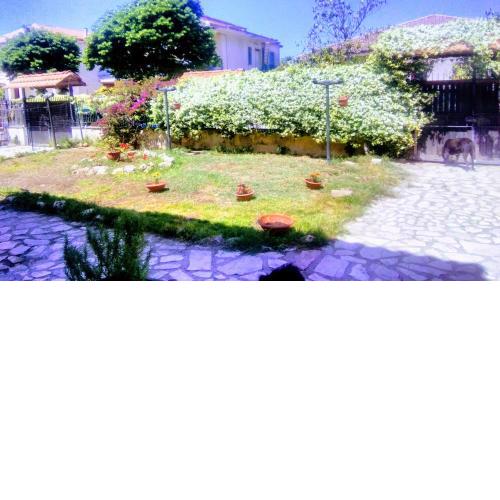Oasi hause