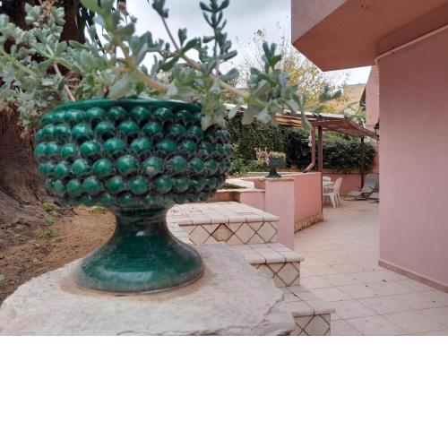 Oasi home