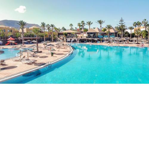 Oasis Fuerteventura