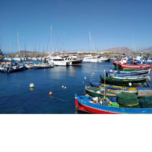 Oasis Marina Apartament