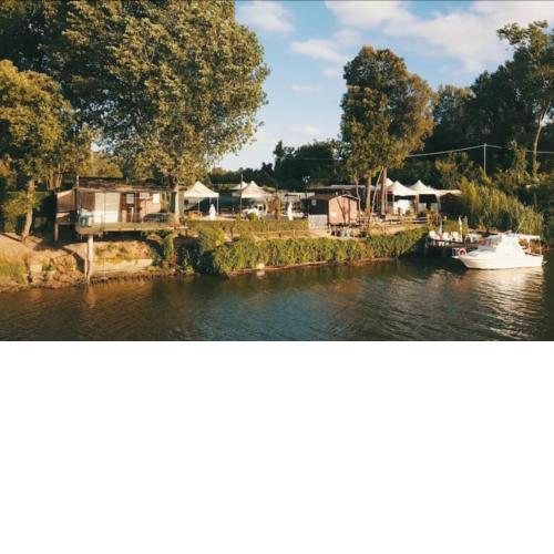 Oasis on the river