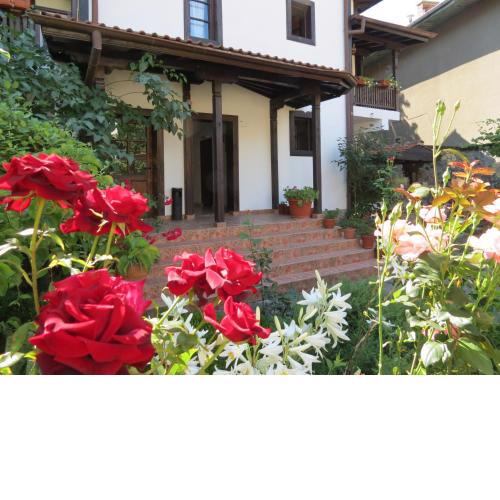 Oazis Guesthouse