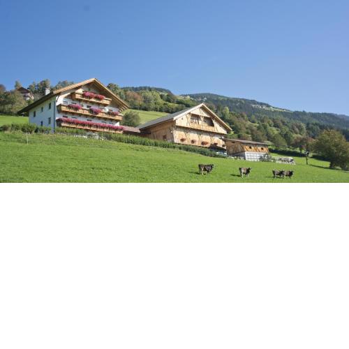 Oberbaumgartnerhof