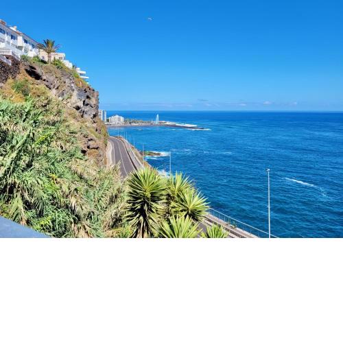Ocean Cliffs