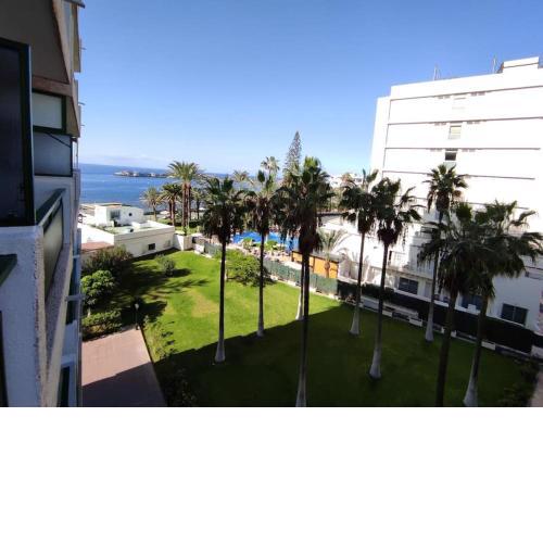Ocean Studio Comodoro VV