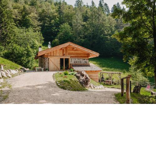 Odomi Maso nel Bosco