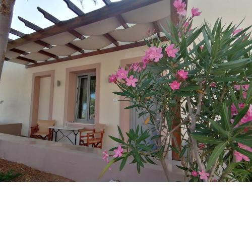 Oinoni's Home - ACHILLES apartment