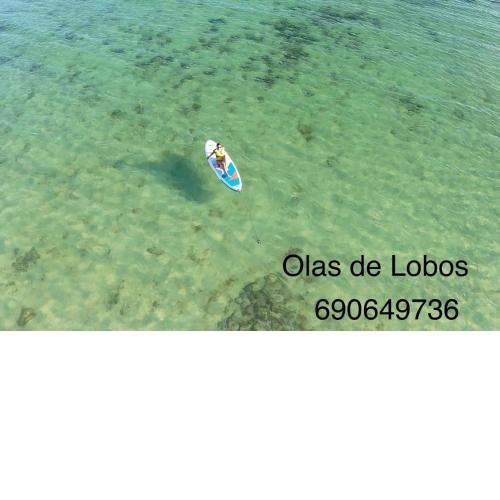 Olas de Lobos