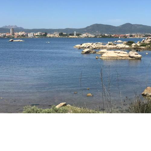 Olbia House