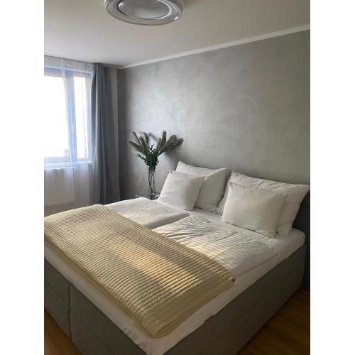 Old town apartment