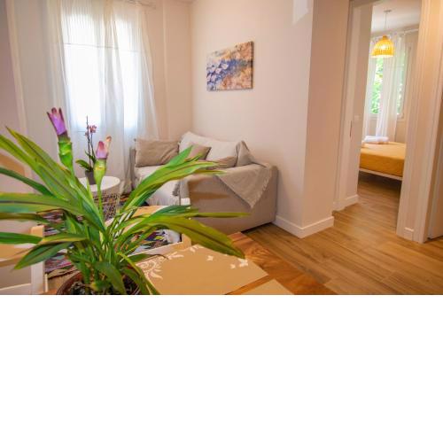 Old Town Apartment