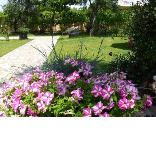 Olga's Garden Apartments