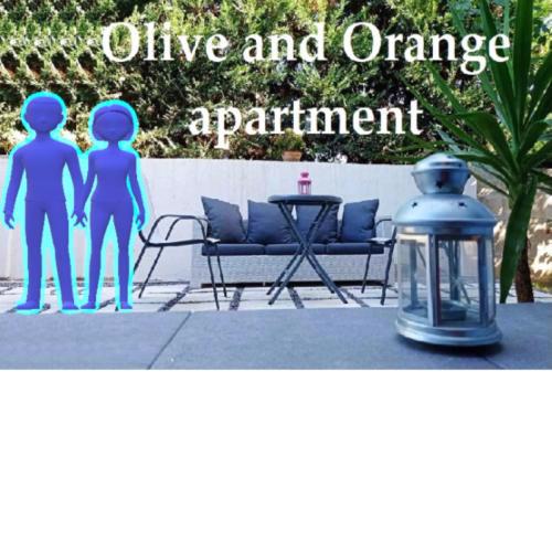 Olive and Orange Apartment