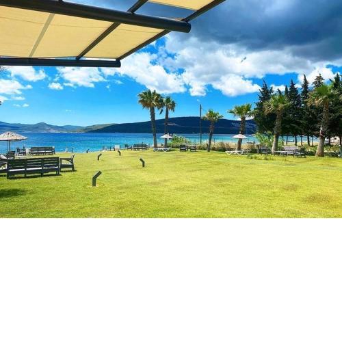 Olive Beach Residence