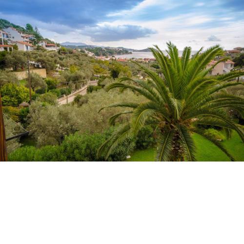Olive Grove Apartment