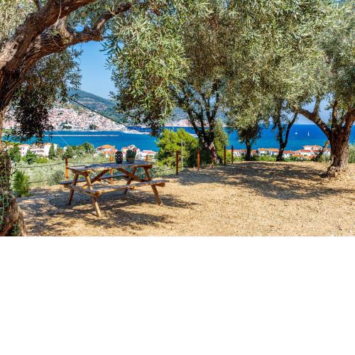 Olive Grove Apartment