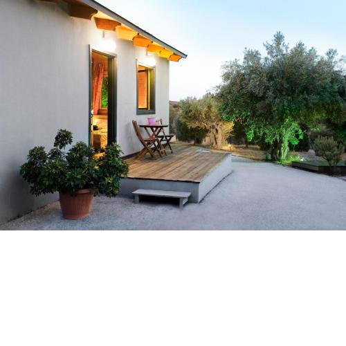 Olive Grove