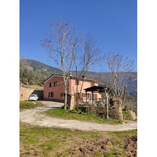 Olive House Tuscany