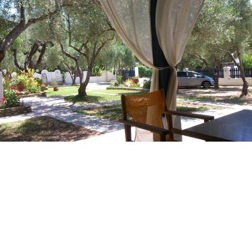 Olive House