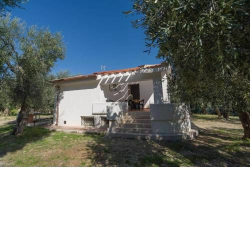 Olive & Sea Villa