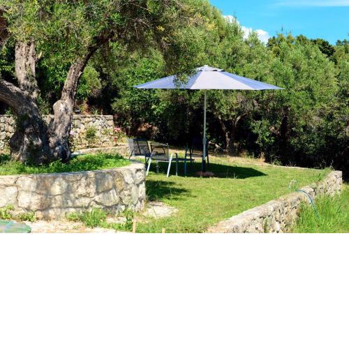 Olive stone Villa