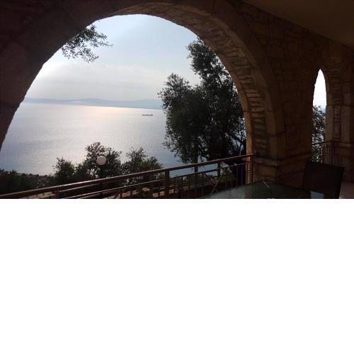 Olive Stonehouses