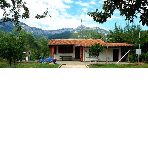 Olive Summer House