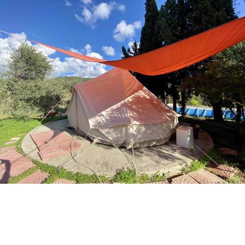 Olive Tent - In Our Garden
