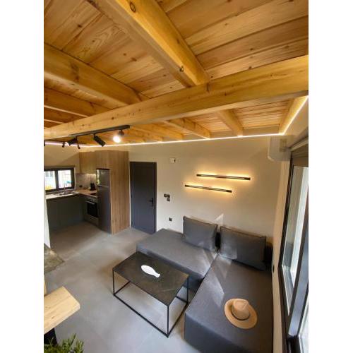 Olive Tree Apartments