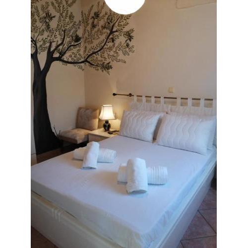 Olive Tree House II