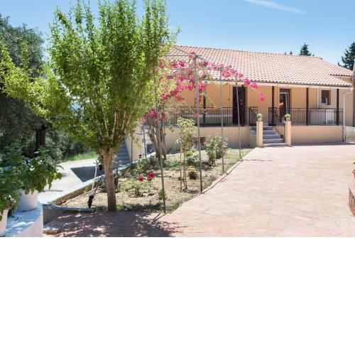 Olive Tree House