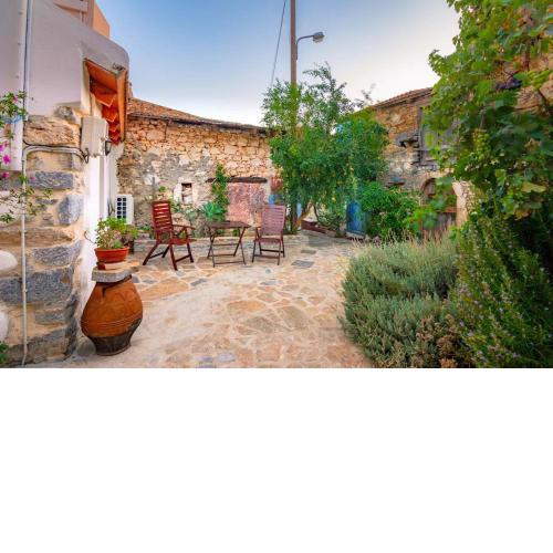 Olive Valley House