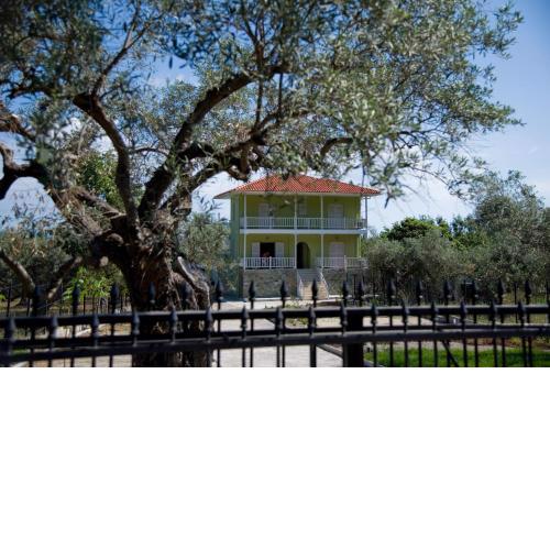 Olivegrove House