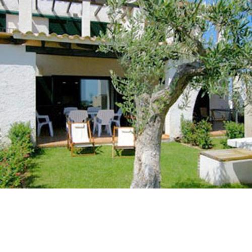 Oliveres 46