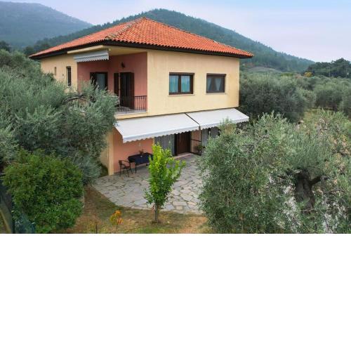 Olive's House