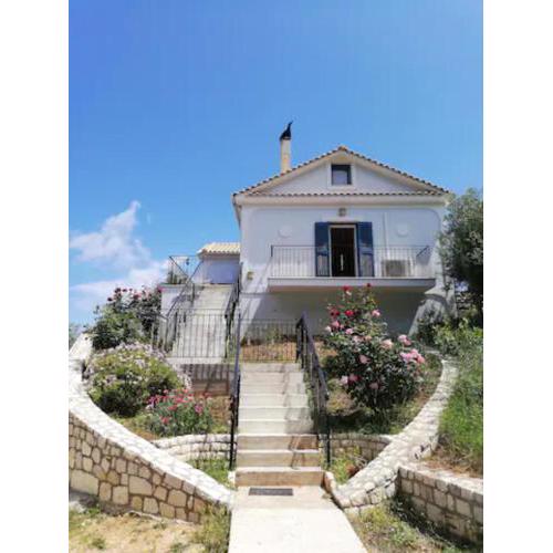 OliveTree House