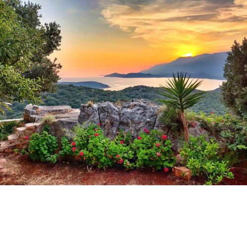 Olivia Homes Kaş