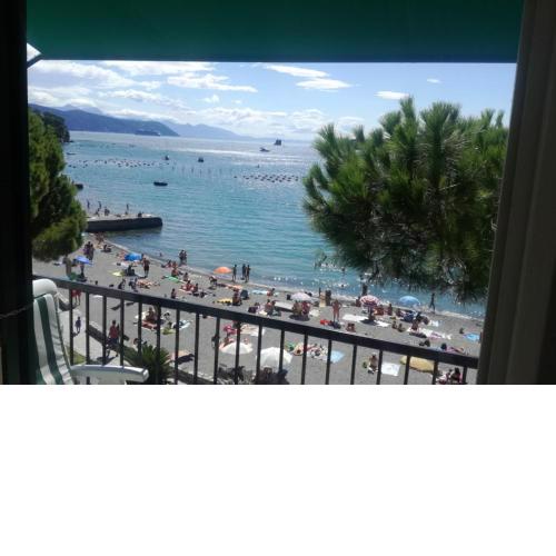 Olivo apartment with sea view