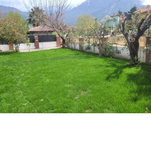 Ölüdeniz Bahar Villa