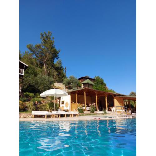 Olympos Angels Garden