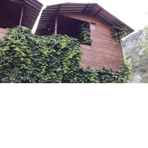 Olympos Camlık Pension