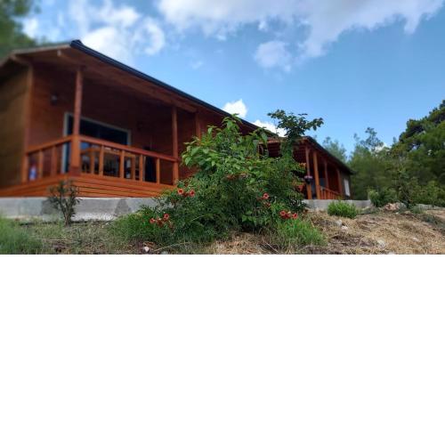 Olympos Terrace Garden