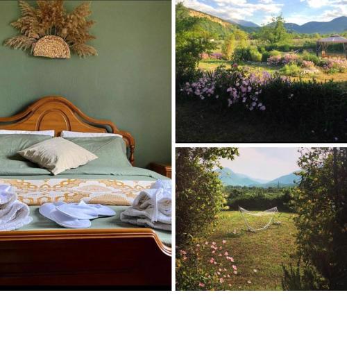 Olympus Guest Home