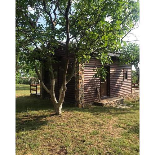 Olympus Horse Riding Club Wooden Horse House Saphira