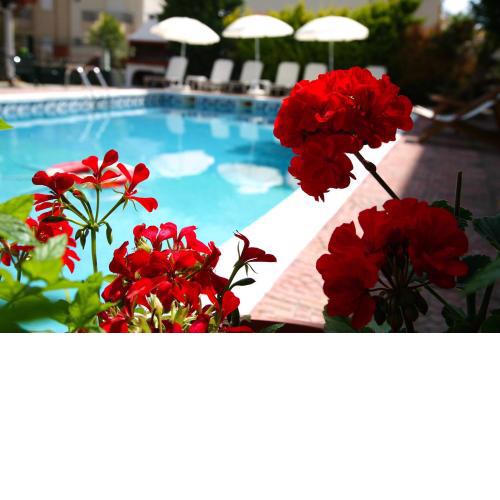 Olympus Hotel Villa Drosos
