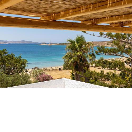 Omilos Beachfront House