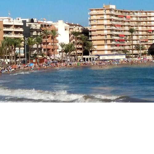 One bedroom appartement at Torrevieja 200 m away from the beach with terrace and wifi