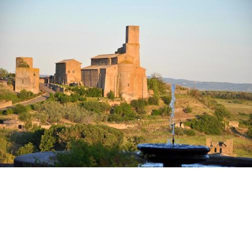 One bedroom appartement with city view and terrace at Tuscania
