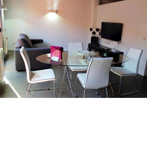 One bedroom appartement with furnished terrace and wifi at Olot